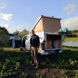 Les crapauds sont endormis