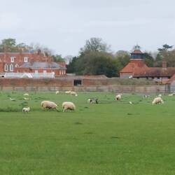 View of Cokenach House