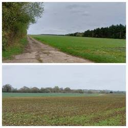 Nuthampstead; the runways of what was USAAF Station 131