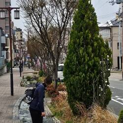 Im Kanal ist das Wasser so klar