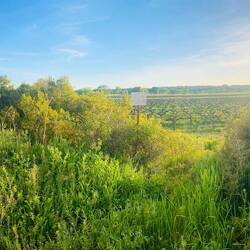 Max kümmert sich um die Fleischbeilage 🤪