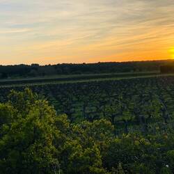 Schöner Stellplatz 🚐🍇👍🏽☀️