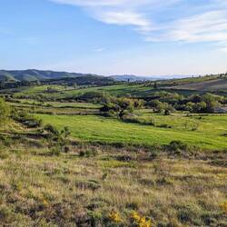 The landscapes are bathed in light. And warmth.