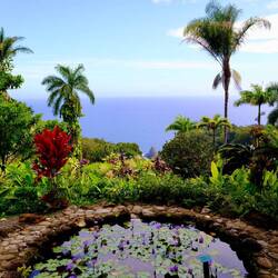 Drehort für Jurassic Park