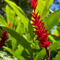 Pia hätte den ganzen Tag hier verbracht