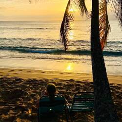 Pünktlich zum Sonnenuntergang zu Hause