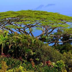 ...ist er nicht toll