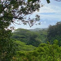 Immer wieder tolle Ausblicke