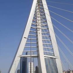 Radtour ♡ über eine der vielen Brücken stadtauswärts