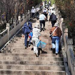 Der Weg hinauf zum Buddah