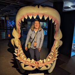 Fun museum in Cape Town