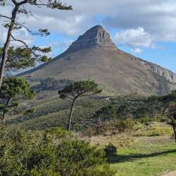 Lion Head from signal hill
