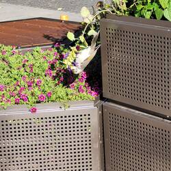 Sieht aus wie ein grosser Kolibri