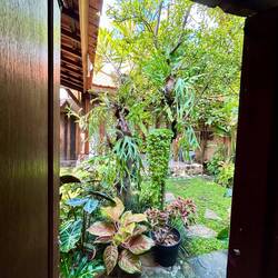 Jedes Zimmer hat seinen eigenen Aussenbereich, manchmal mit Bad ausserhalb oder direkt am Zimmer