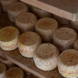 Cave d'affinage des fromages