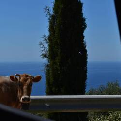Rencontre sur la route
