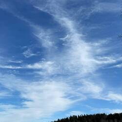 Mutter Natur übt wieder Schönschrift. Eine Grundschullehrerin hätte ihre wahre Freude dran...