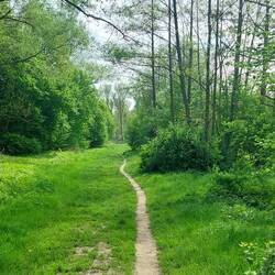 Schöne Wege durch die Auenlandschaft.