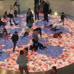 Und je nach Motiv bewegen sie sich anders: Hier vertreiben sie die Herbstblätter .