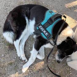 Auch Lotta war fix und fertig