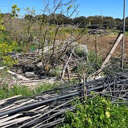 ..auch jede Menge Plastikmüll, der teils..