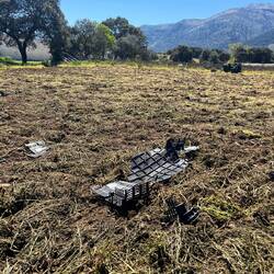 ..einfach wieder in die Felder "verschwindet".