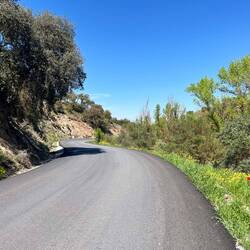 Nach etlichen Kilometer an kaum befahrenen Straßen entlang,..