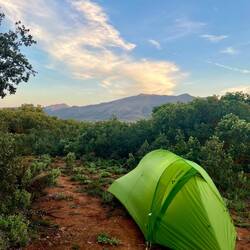 ..mal nicht, dann träume ich bestimmt von ihnen.