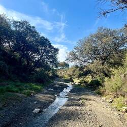 ..folge ich einem Bachverlauf und komme..