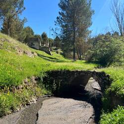 Die Bäche und Flüsse leiden neben dem Klimawandel..