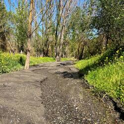 ..an der exzessiven Landwirtschaft und sind nur noch Rinnsale.