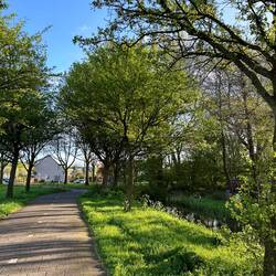 Morning bike views
