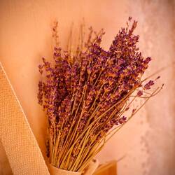 Lavendel 😍😍😍