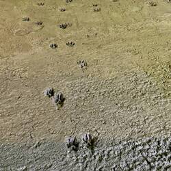 Diese Fusstapfen im Zement haben wir live mitbekommen... 😂