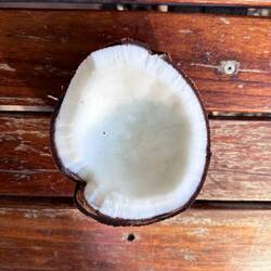 Die haben wir geschnattert