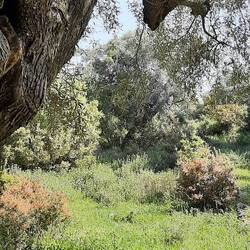 hike through Melissa Gorge