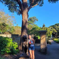 Zwei Löwen und eine Coca-Cola