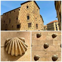 Muschelhaus "Casa Concha"