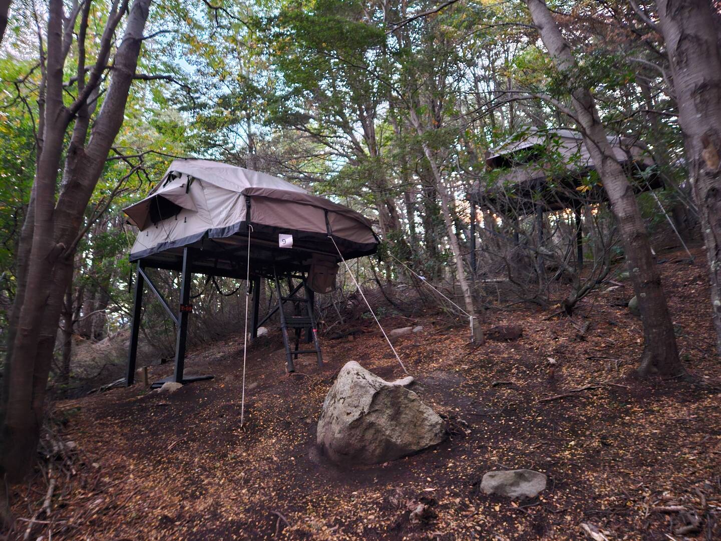 Last night's accommodation