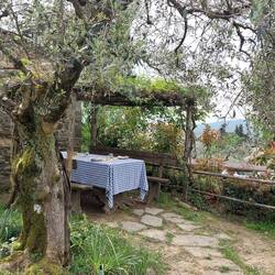 Fattoria La Vialla