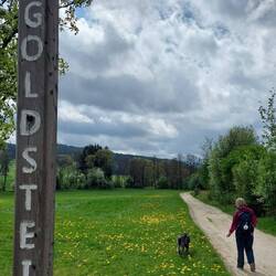 Der Goldsteig ist kaum zu übersehen!