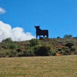 Hat er sich verlaufen? 😅