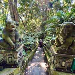 abgesehen von den dort lebenden Affen, war es doch eine sehr schöne Anlage, auch zum Verweilen