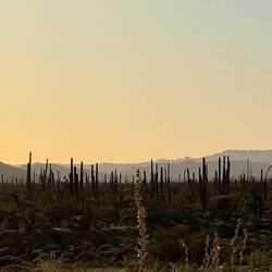 Jetzt ist die Sonne verschwunden