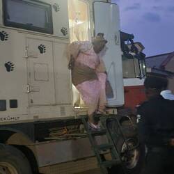 Die Königin verlässt unsere Gemächer