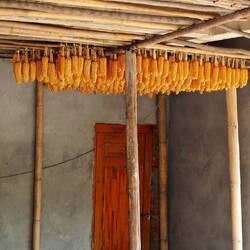 Maiskolben an den Türen für Glück