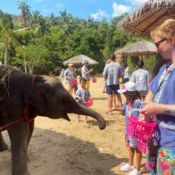 Elephant Spa 🐘😍