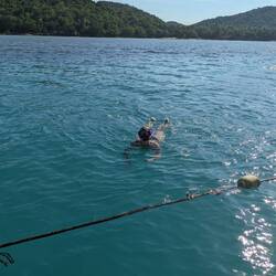 Mit anschliessendem Schnorchelstopp