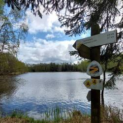 ....führt mittendurch!