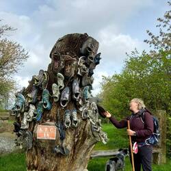 Da ist doch für jeden was dabei!🙂